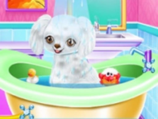 My New Poodle Friend - Pet Care Game - Free Top Free Online Games tagged Pet Game