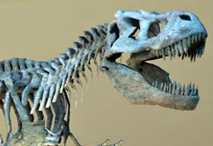 Play History Museum Escape Now -  :xxx - :yyy Game Screenshot