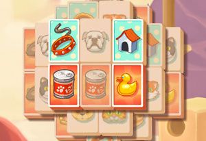 Petjong Play Petjong Now