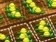 Mancala Play Mancala Now
