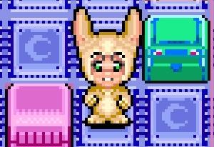 Bunny Bunny Play Bunny Bunny Now