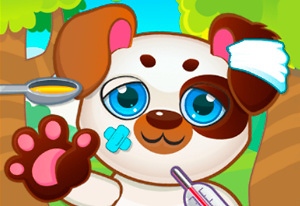 Play Doctor Pets Now