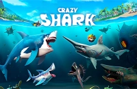 Crazy Shark Games