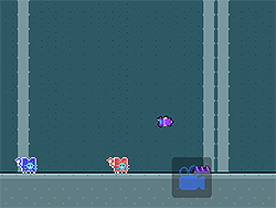 立即玩红蓝猫 - 2 Player :xxx - :yyy 游戏截图