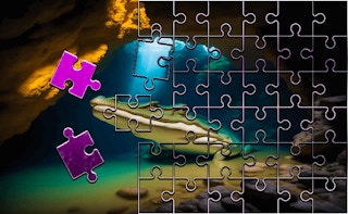 Crocodile Jigsaw Perfect Slide Puzzle - Similar Game