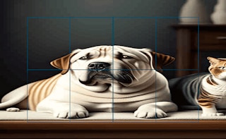 Cats and Dogs Slide Puzzle - Free animal Game Like Galinha & Fox