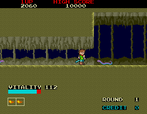 Play Dragon Buster Now -  :xxx - :yyy Game Screenshot