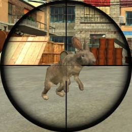 Rabbit Shooter gameplay screenshot