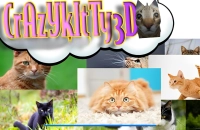 Play Crazy Kitty 3D Now