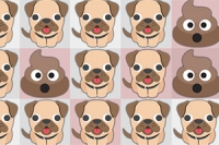 Play Daily Dog Pooh Now