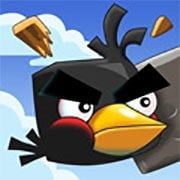 Play Crazy Birds Now