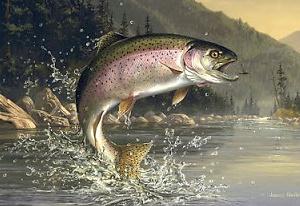 Sea Fishing Tropical العب Sea Fishing Tropical الآن