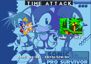 Play Sonic 3 & Knuckles - Pro Survivor Now -  :xxx - :yyy Game Screenshot