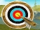Bowmaster Target Range Play Bowmaster Target Range Now