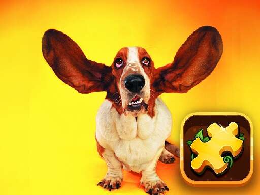 Funny Dogs Puzzle Games