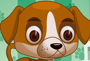 Pet Beauty Corner Play Pet Beauty Corner Now