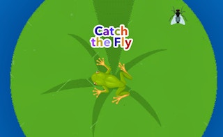 Catch the Fly - Free animal Game Like Cão De Resgate
