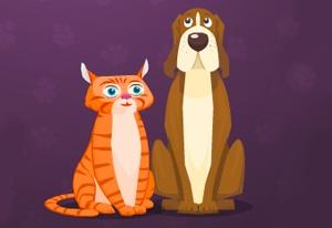 Pet Shop Play Pet Shop Now