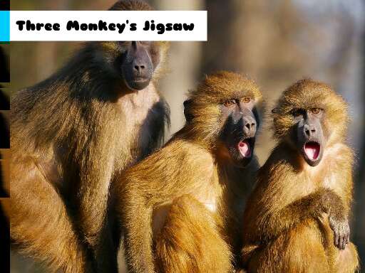 Three Monkey's Jigsaw - Free Top Free Online Games tagged Monkey Game