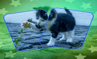 Cat Puzzle Memory Match - Free memory Game Like 페가수스 메모리 매치