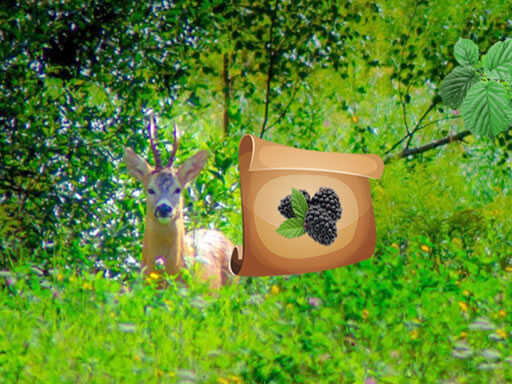 Return To Alsunga Forest Games
