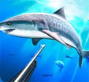 العب Hunter Underwater Spearfishing 3D الآن