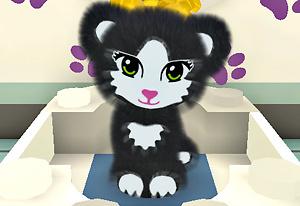 Lego Friends Pet Salon Play Lego Friends Pet Salon Now