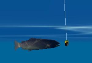 العب Big Catch الآن