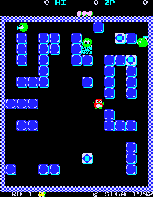 Play Pengo (set 2) Now -  :xxx - :yyy Game Screenshot