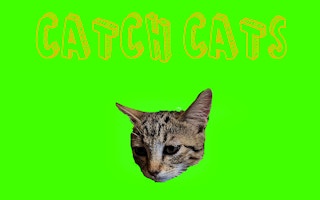 Catch Cats Games