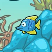 Play Fish Race Champions - Free Online Race Game