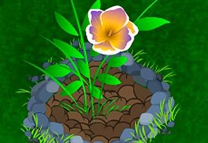 Play The Gardener Girl Now
